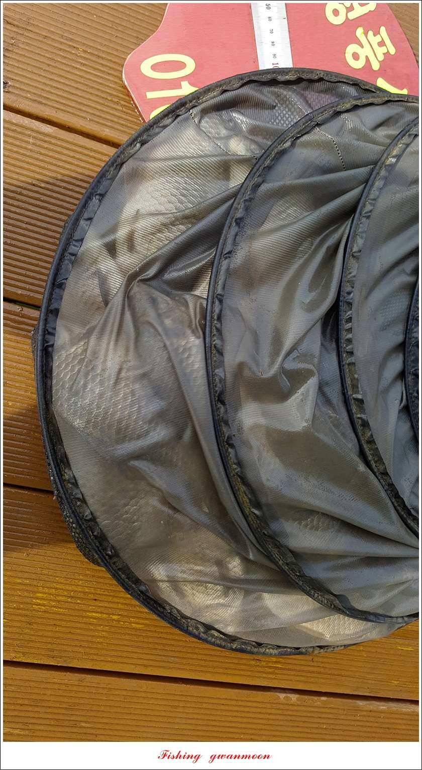 돌감서유석신리실리곡화곡지 조황 (조황조행기 - 특파원조황)