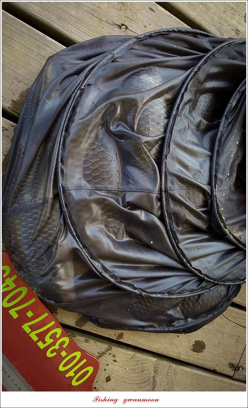 병호신리 사짜신매실리곡 월척 마릿수 (조황조행기 - 특파원조황)
