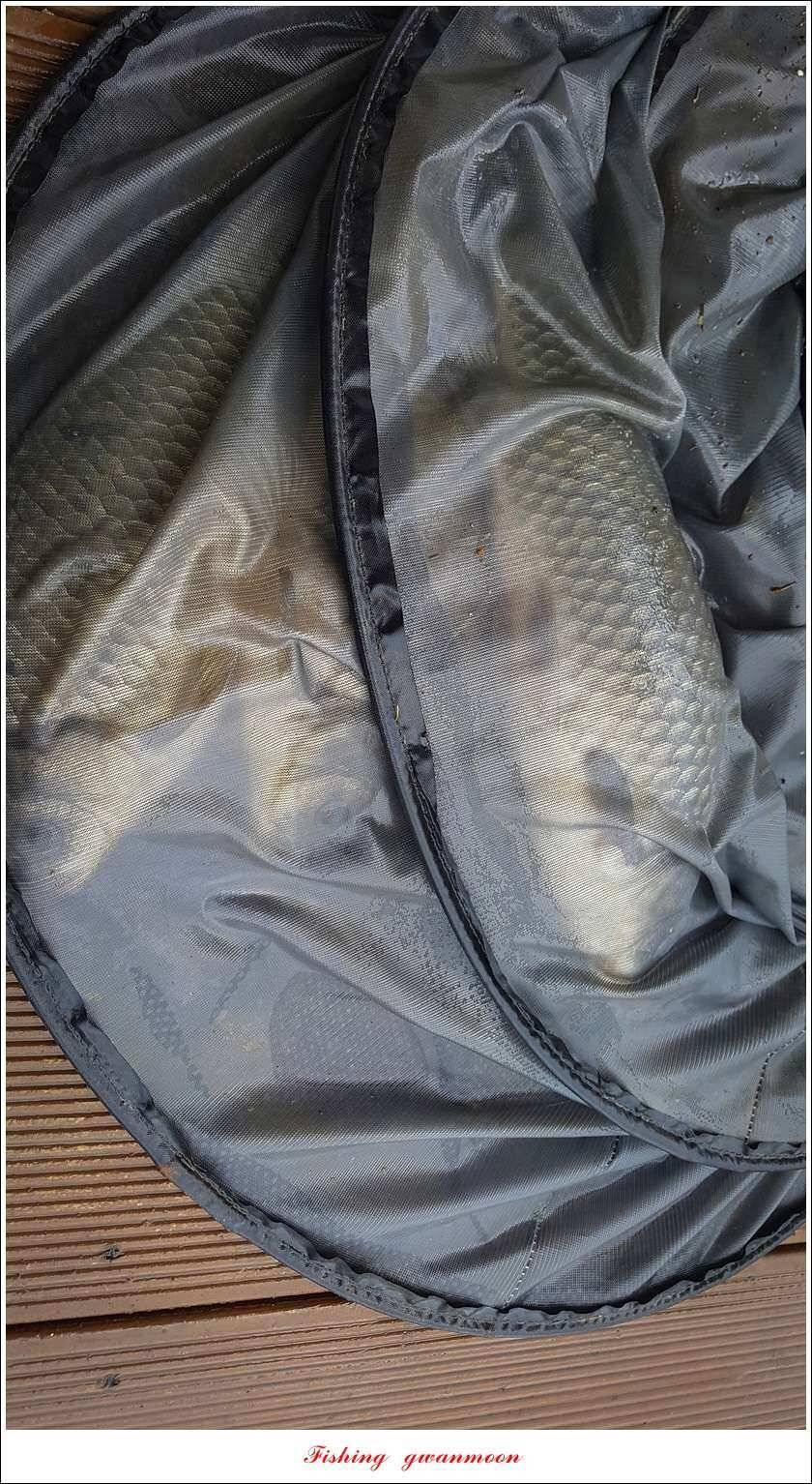 신매 42 cm 혹부리 대물돌감신리실리곡 월척 조황 (조황조행기 - 특파원조황)