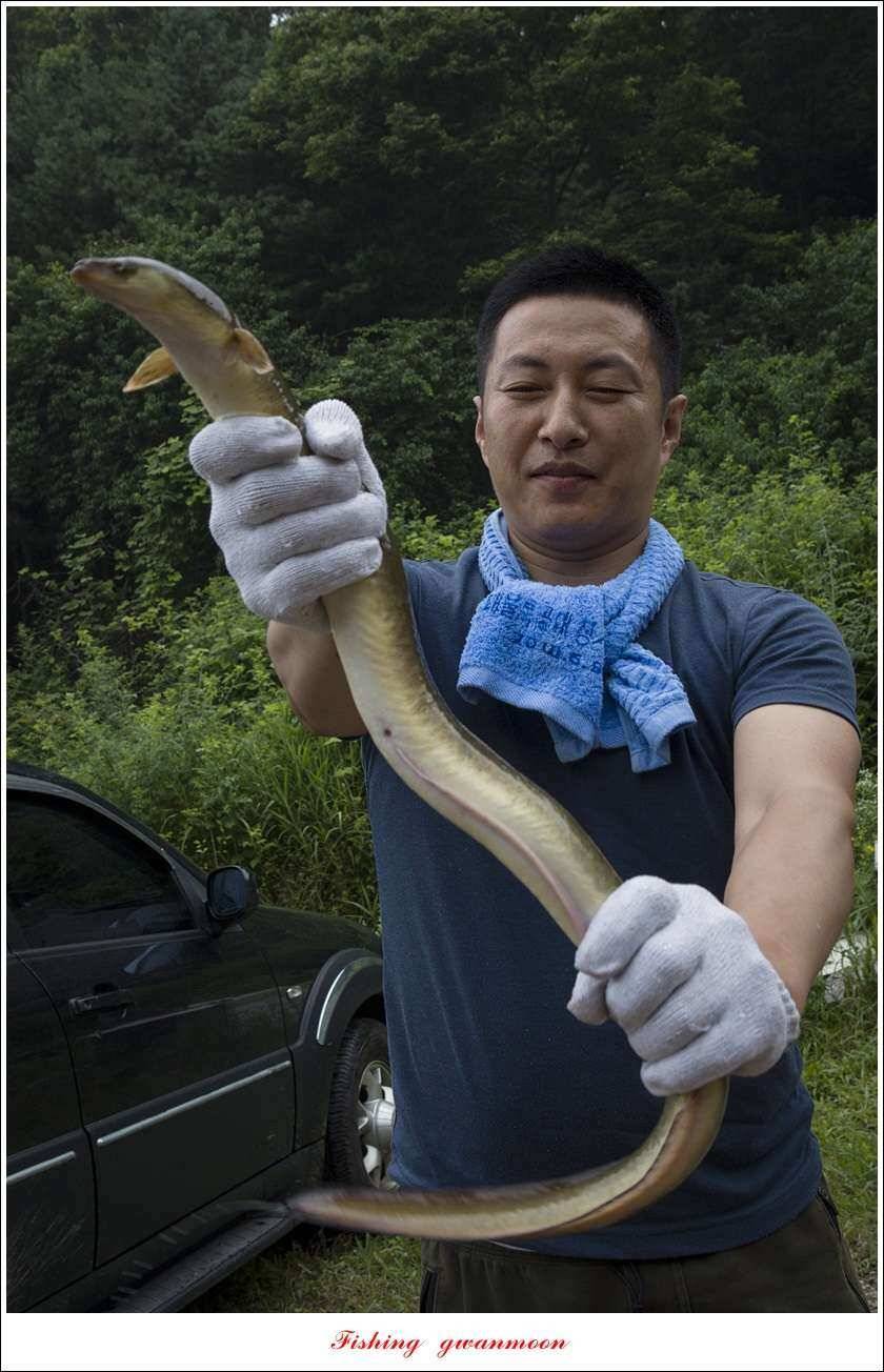 충주호 오름수위 대박 조황 (조황조행기 - 특파원조황)