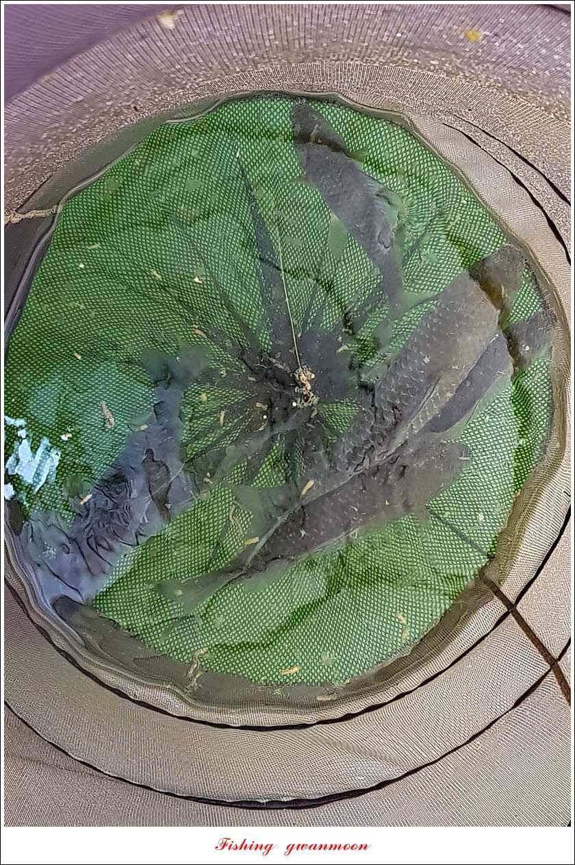 실리곡청풍 신리 월척 조황 (조황조행기 - 특파원조황)