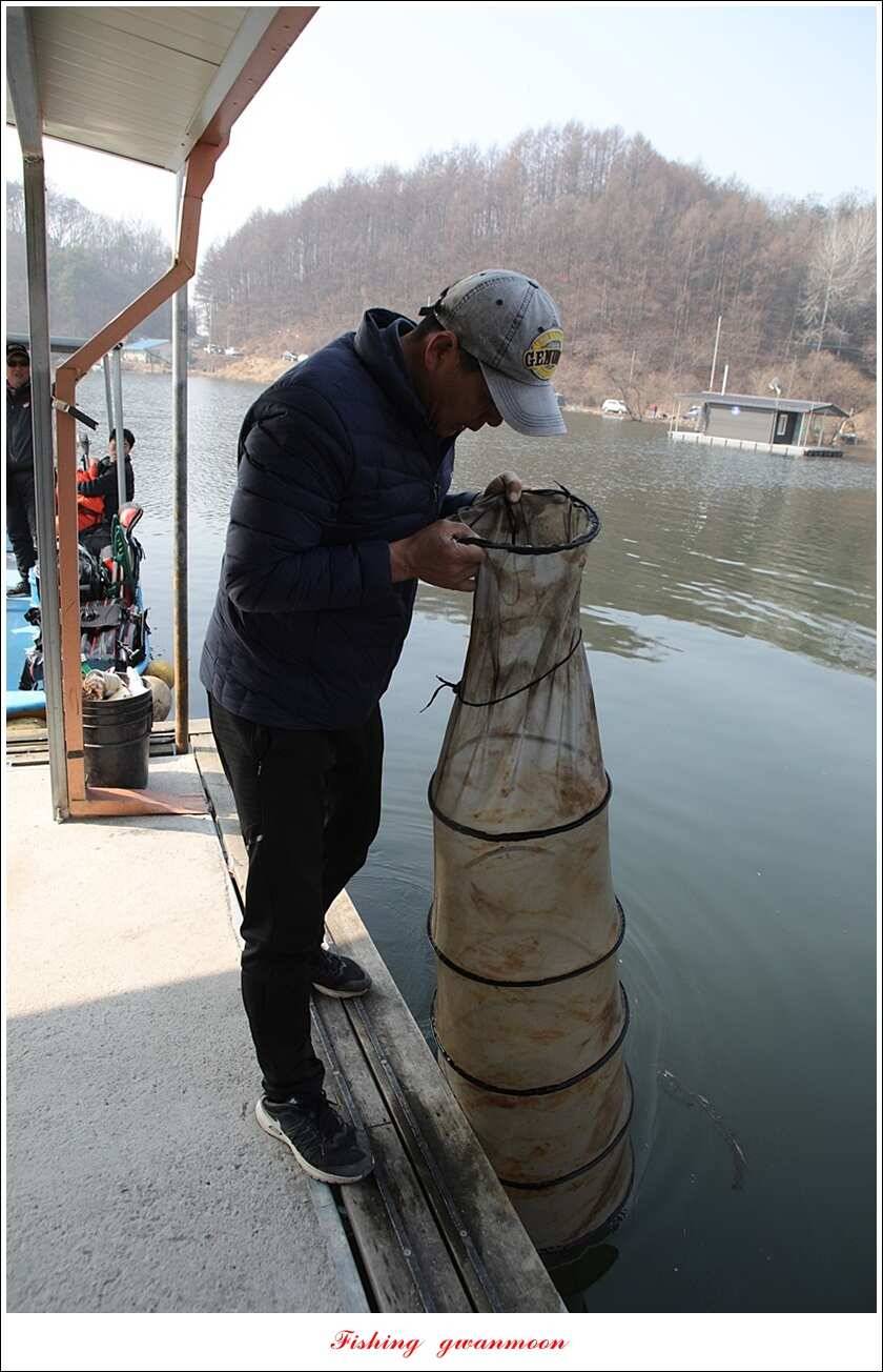 화곡지 사짜 및 마릿수 월척 칠성지 조황 (조황조행기 - 특파원조황)