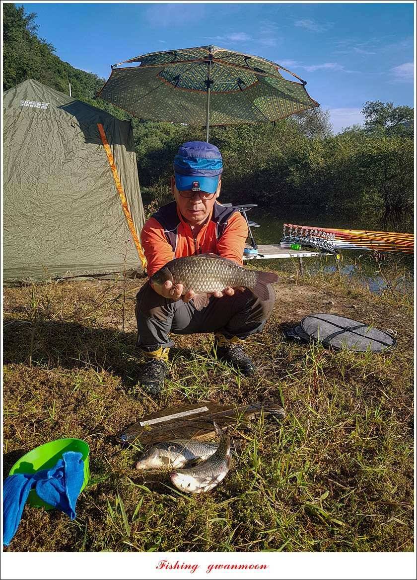 청풍 신리 사짜실리곡제일화곡지 사짜 조황 (조황조행기 - 특파원조황)
