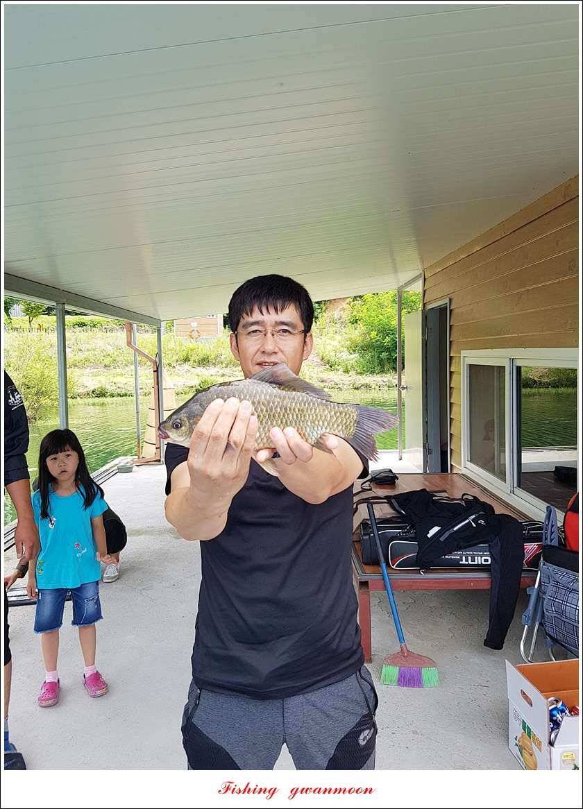 신매 42 cm돌감신리실리곡제일화곡지 조황 (조황조행기 - 특파원조황)