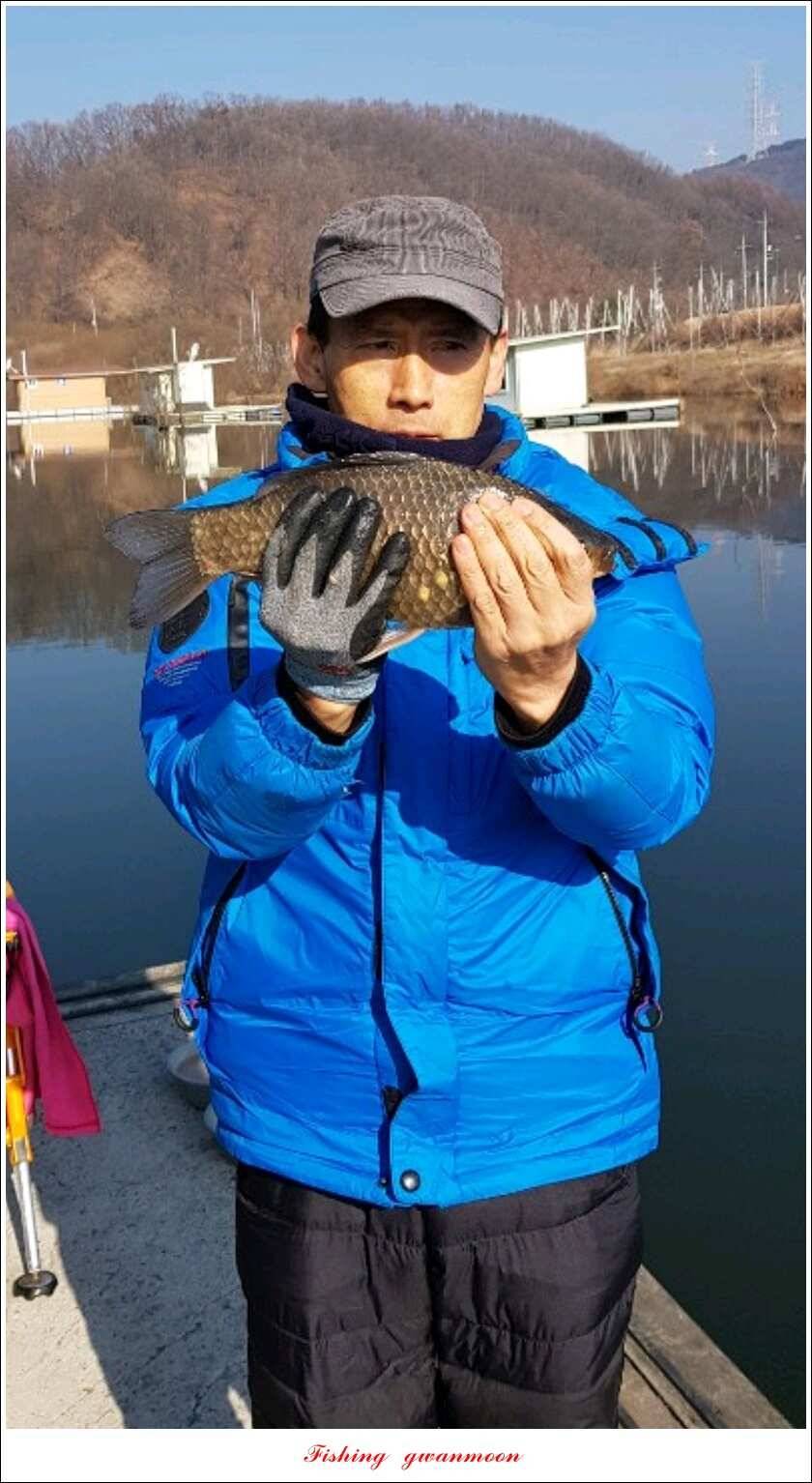 화곡지 사짜 및 마릿수 월척 조황 (조황조행기 - 특파원조황)