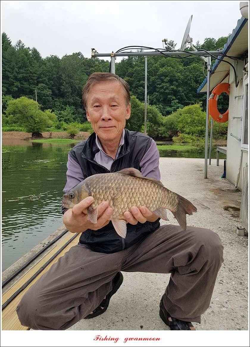 실리곡 43 cm신리 월척화곡지 호조황 (조황조행기 - 특파원조황)