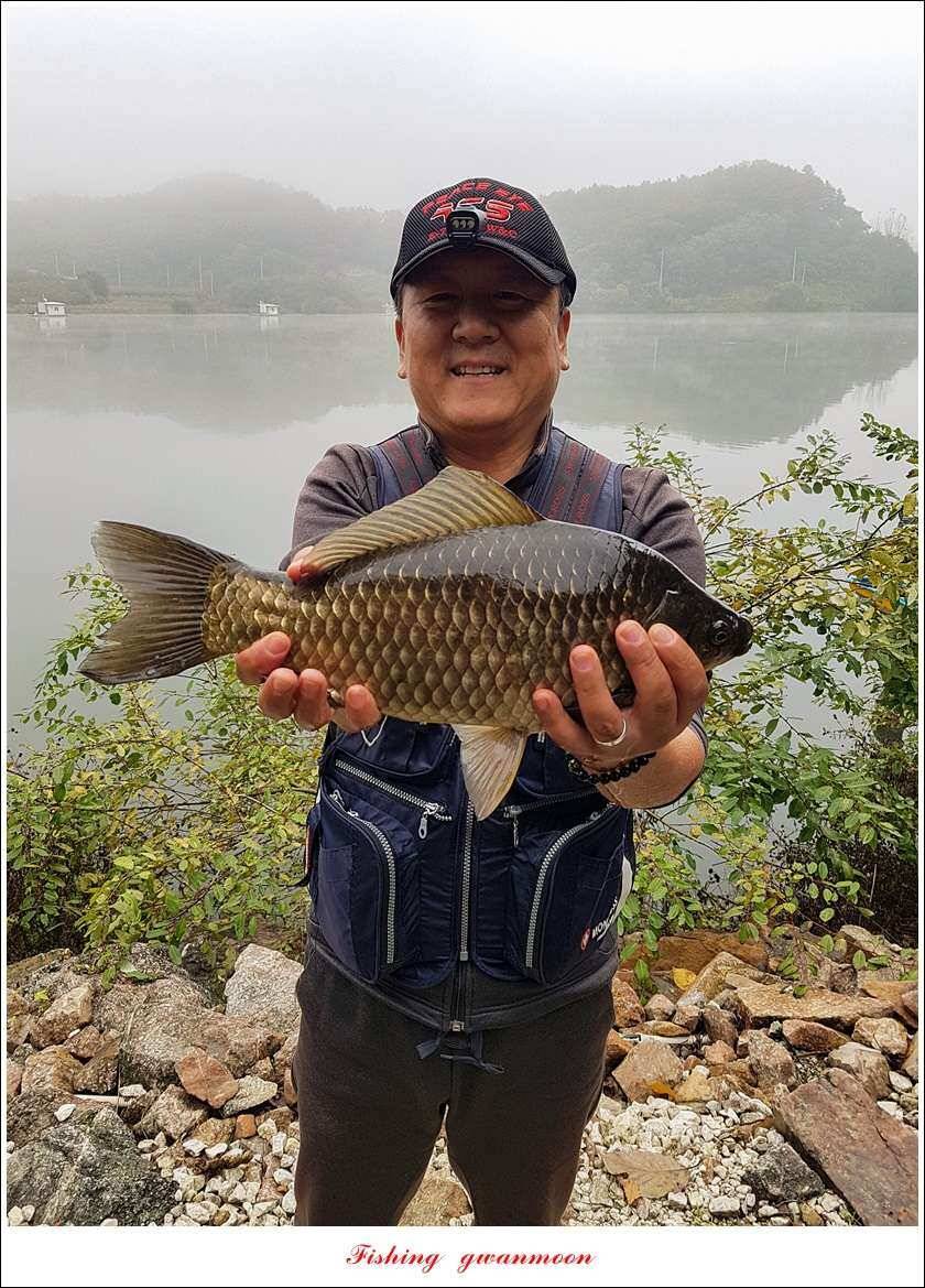 화곡지 사짜 및 조황 소식 (조황조행기 - 특파원조황)