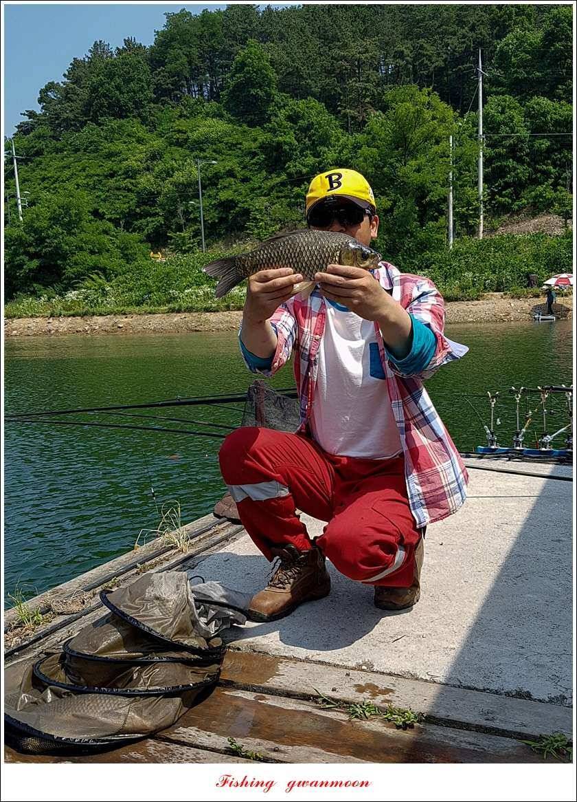 신매돌감화곡지 월척 조황 (조황조행기 - 특파원조황)
