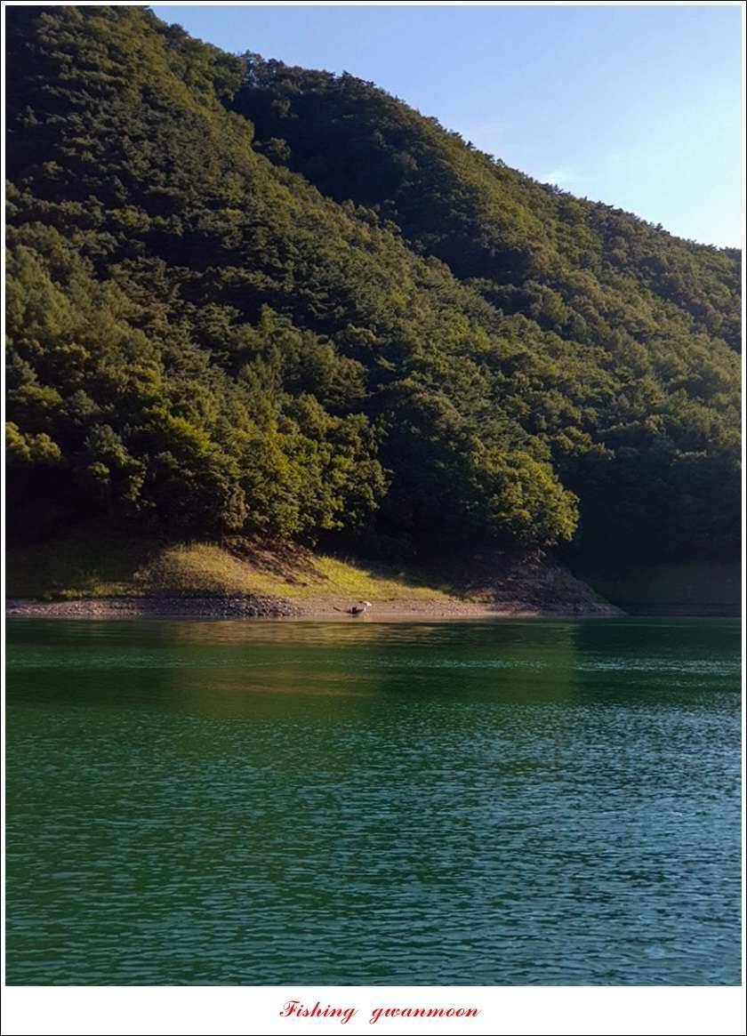 돌감서유석신리실리곡화곡지 조황 (조황조행기 - 특파원조황)