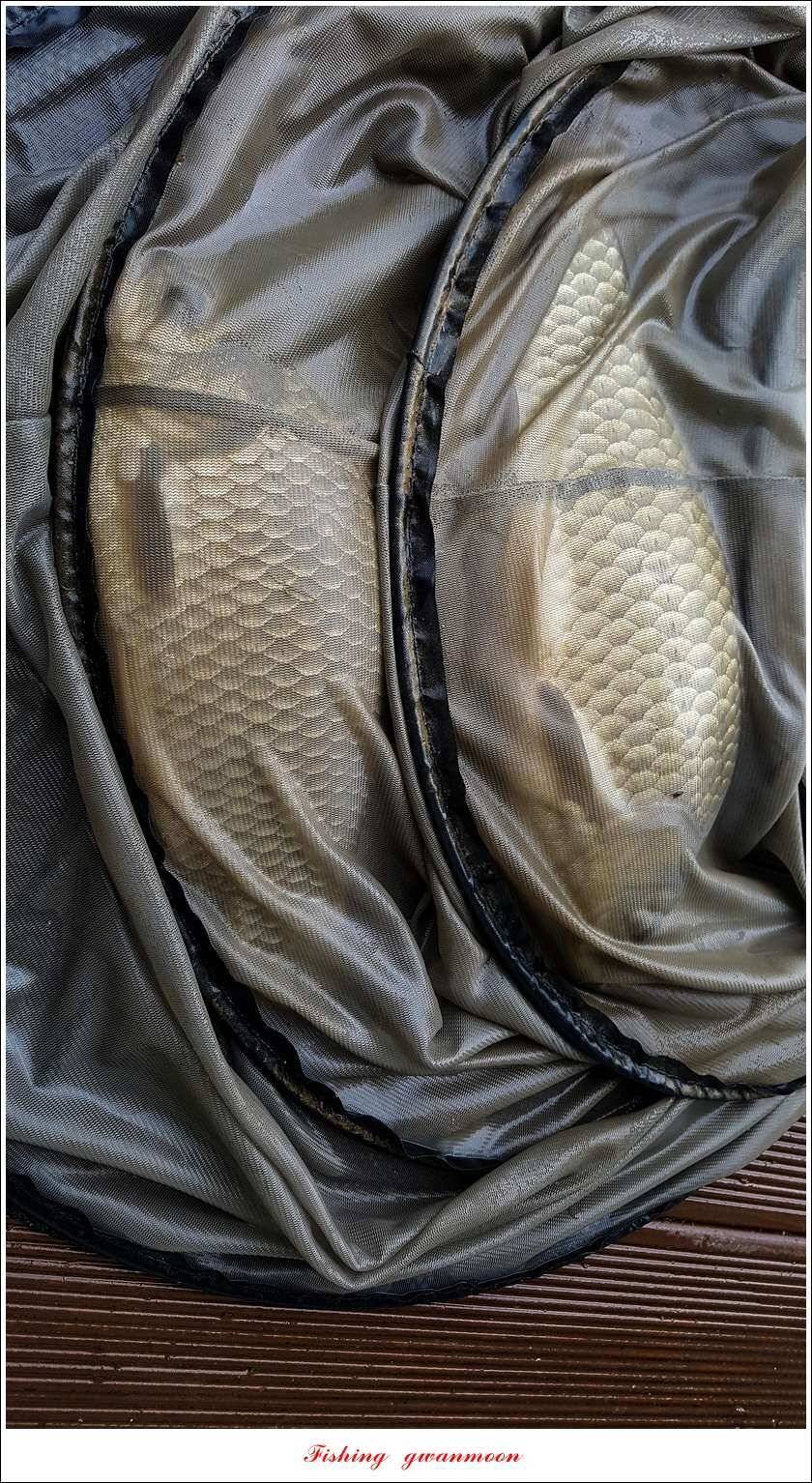 신매 42 cm 혹부리 대물돌감신리실리곡 월척 조황 (조황조행기 - 특파원조황)