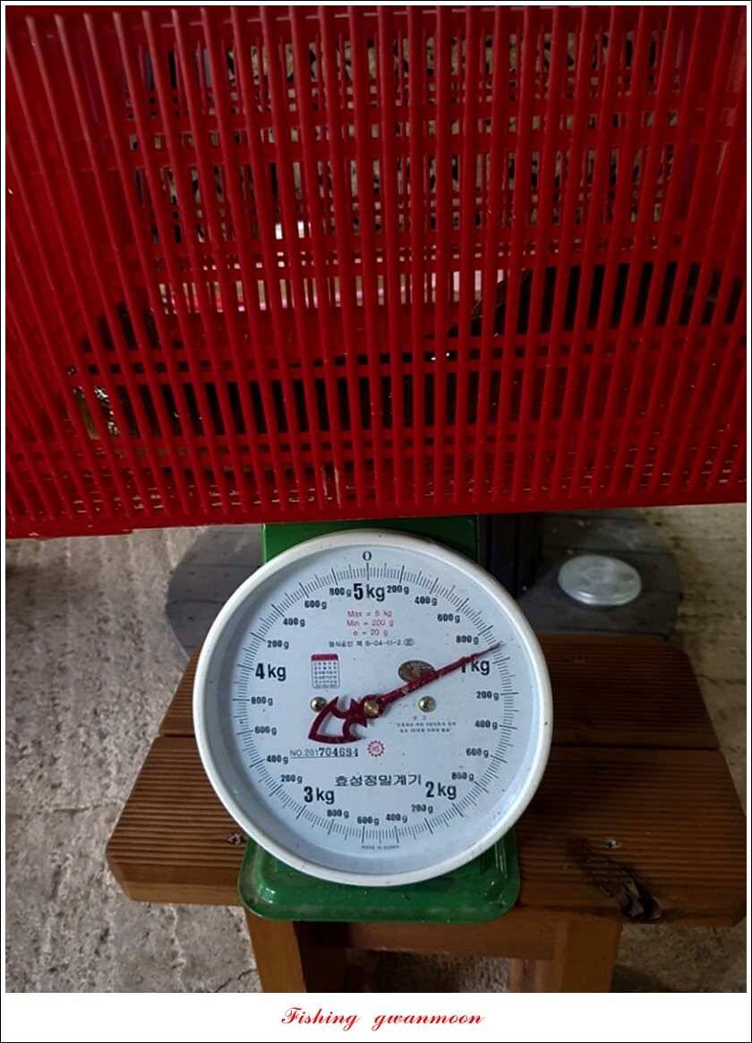 서유석 장어청풍 신리실리곡 허리급 월척 조황 (조황조행기 - 특파원조황)
