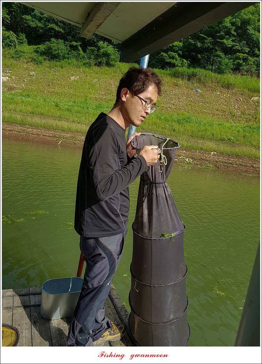 신리 46cm41cm병호 41cm돌감 40 cm (조황조행기 - 특파원조황)