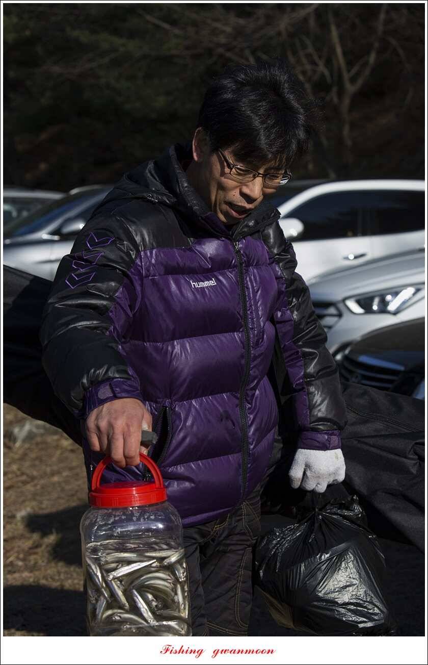 충주호 물낚시와 빙어 낚시 조황 (조황조행기 - 특파원조황)