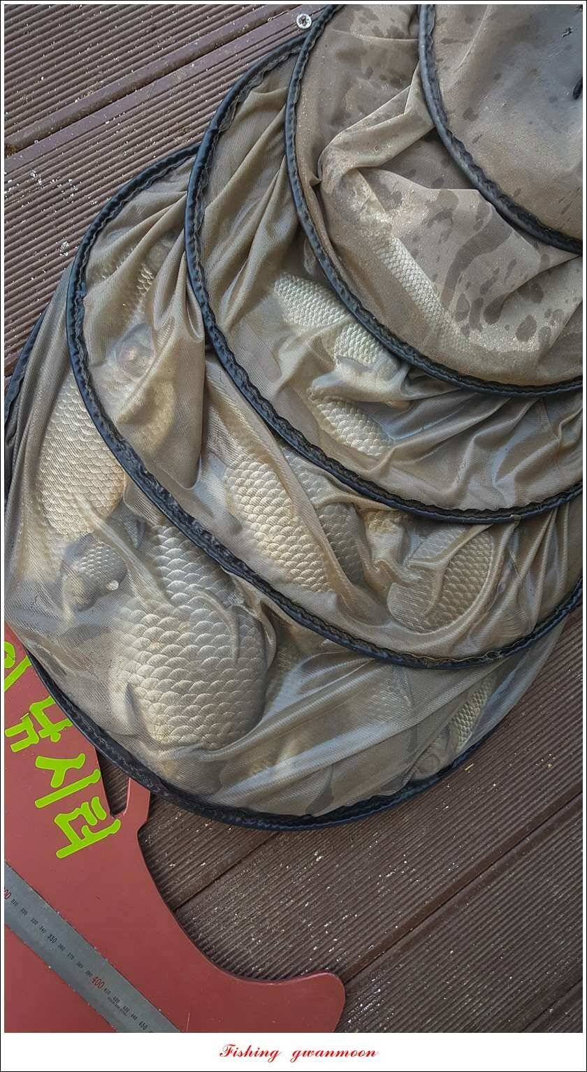늘푸른 사짜 및 장어신리실리곡달천강 조황 (조황조행기 - 특파원조황)