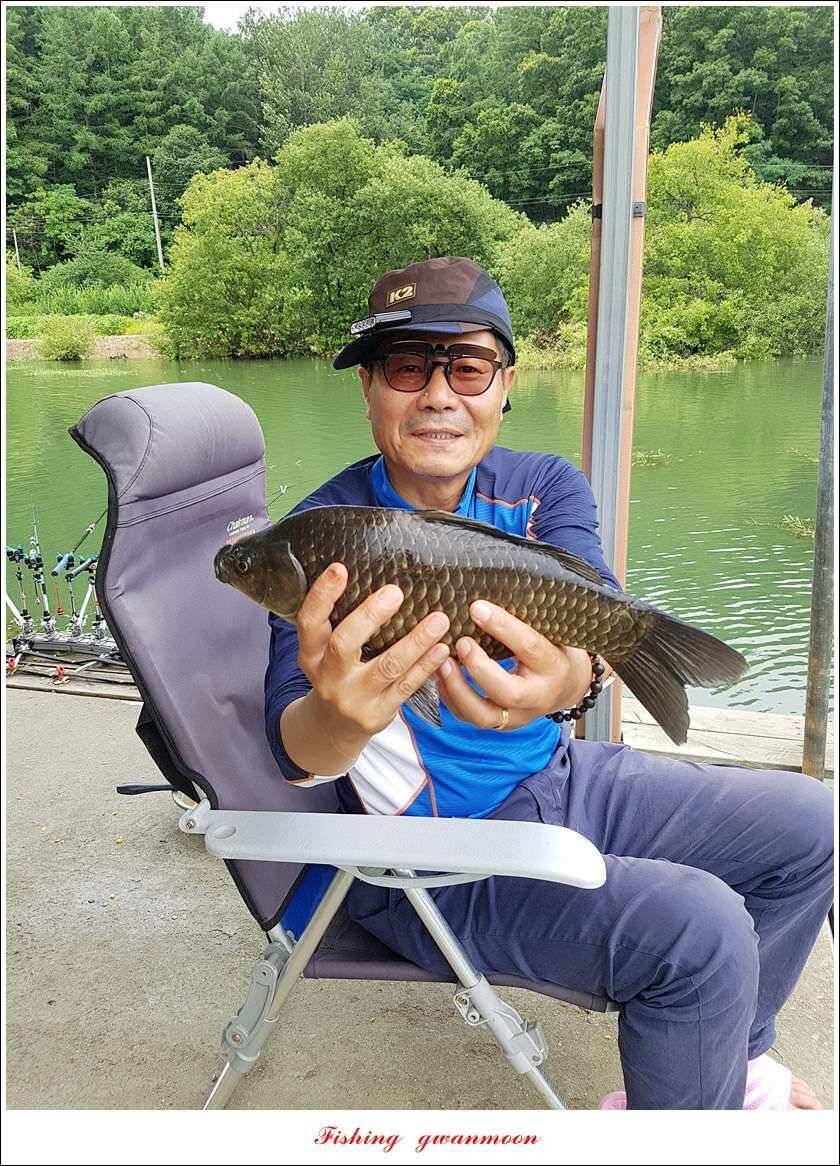 실리곡 43 cm신리 월척화곡지 호조황 (조황조행기 - 특파원조황)