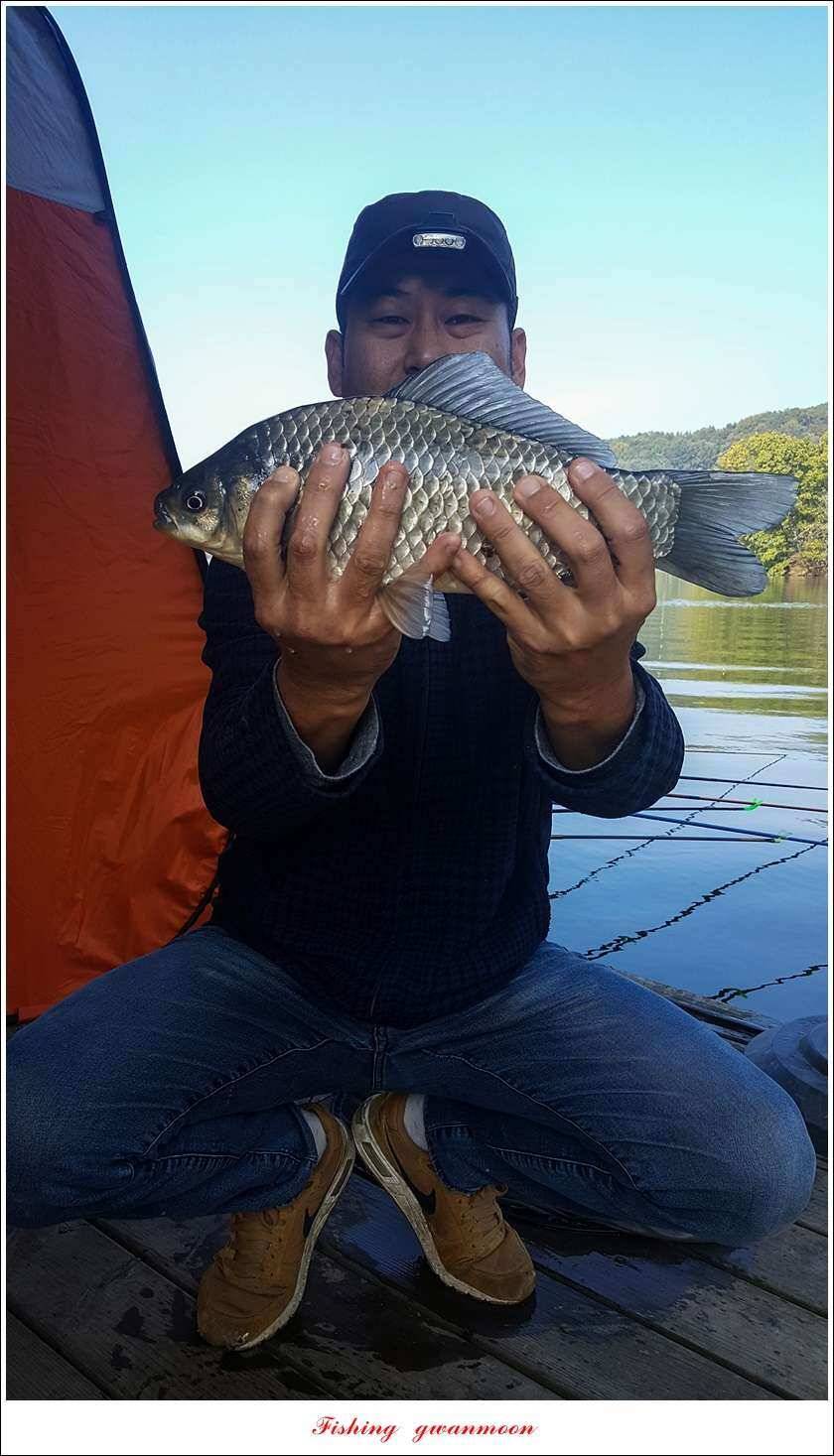 청풍 신리 사짜실리곡제일화곡지 사짜 조황 (조황조행기 - 특파원조황)