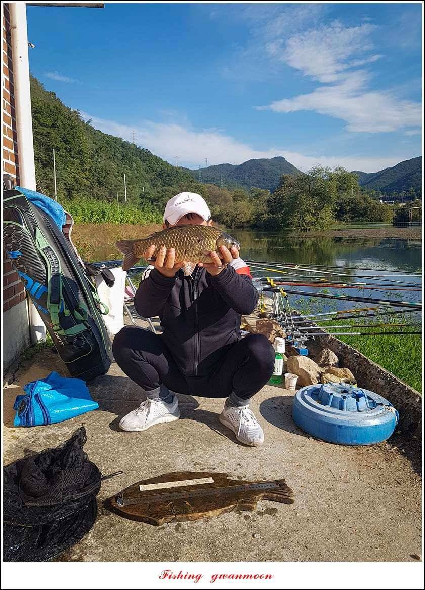 청풍 신리 사짜실리곡제일화곡지 사짜 조황 (조황조행기 - 특파원조황)