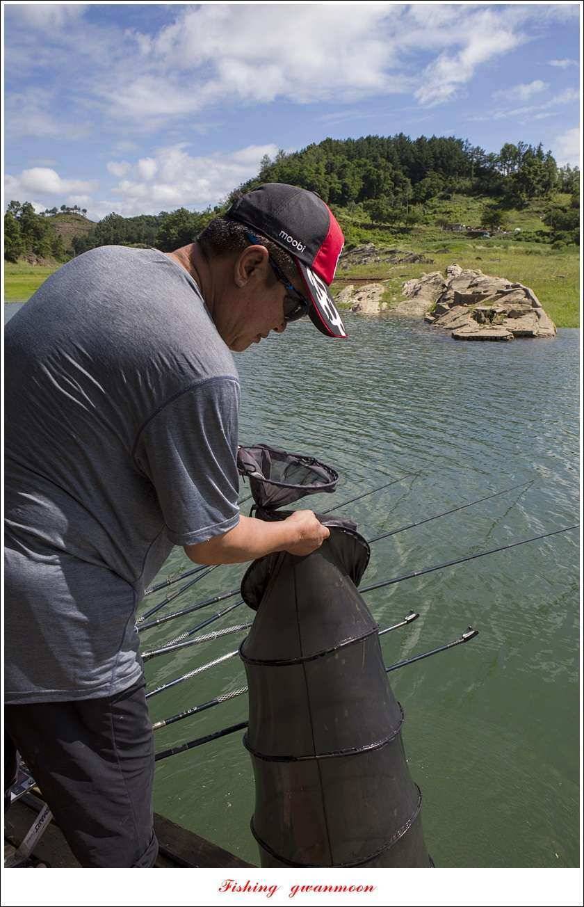 신리 46cm41cm병호 41cm돌감 40 cm (조황조행기 - 특파원조황)