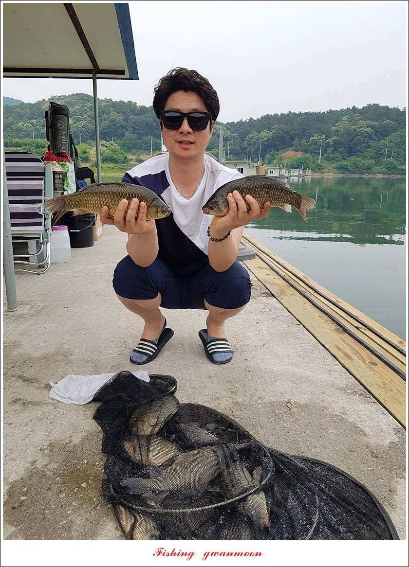신매돌감화곡지 월척 조황 (조황조행기 - 특파원조황)