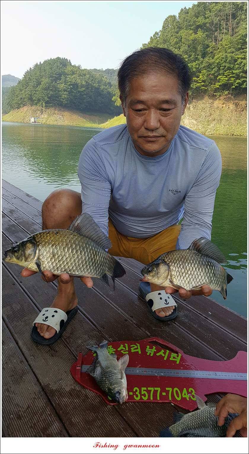 서유석 장어청풍 신리실리곡 허리급 월척 조황 (조황조행기 - 특파원조황)