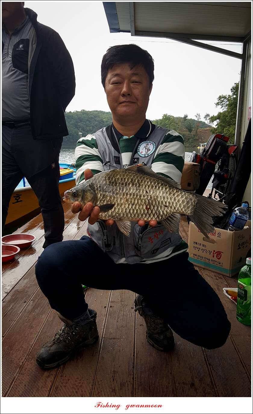 청풍 신리 39 cm 및 월척 조황 (조황조행기 - 특파원조황)