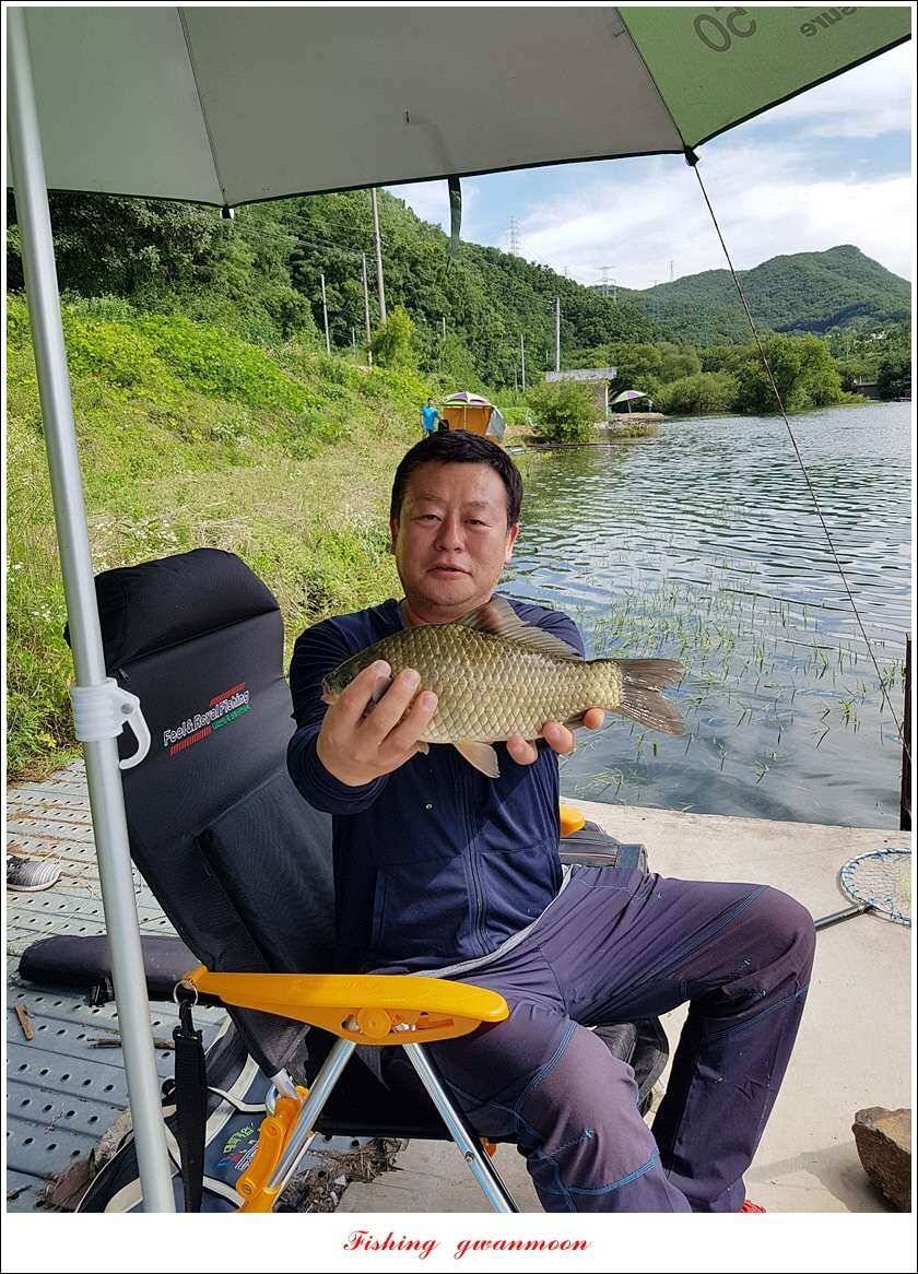 신매 42 cm돌감신리실리곡제일화곡지 조황 (조황조행기 - 특파원조황)