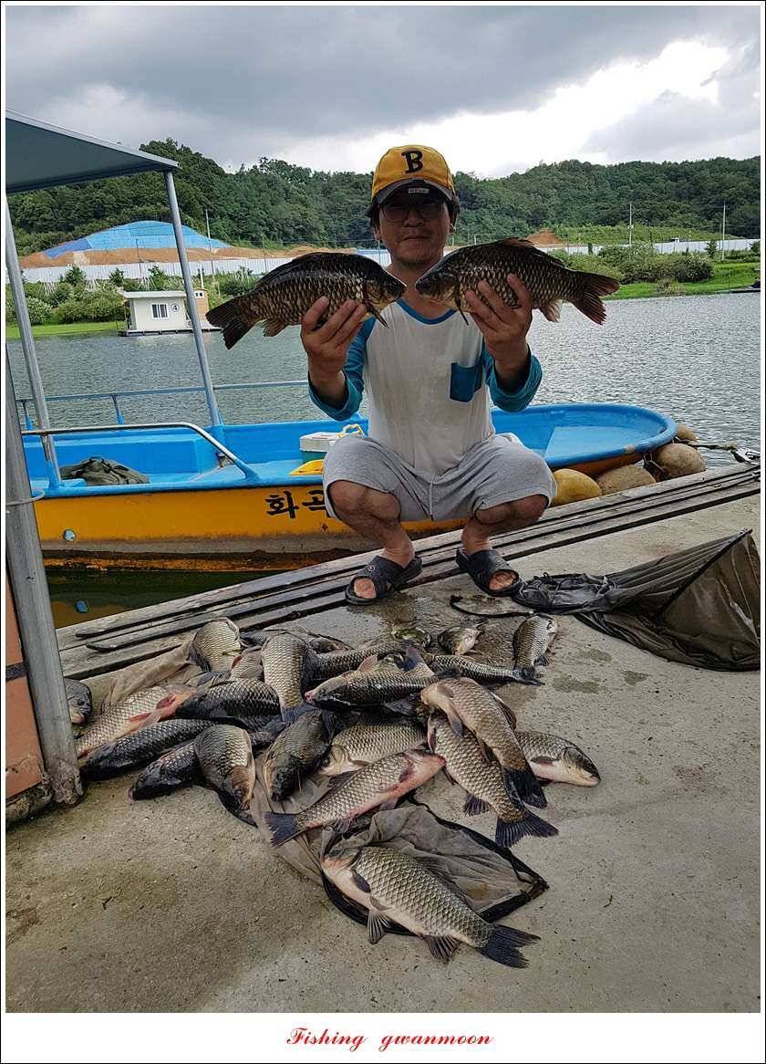 실리곡 435 cm 대물칠성지화곡지 조황 (조황조행기 - 특파원조황)
