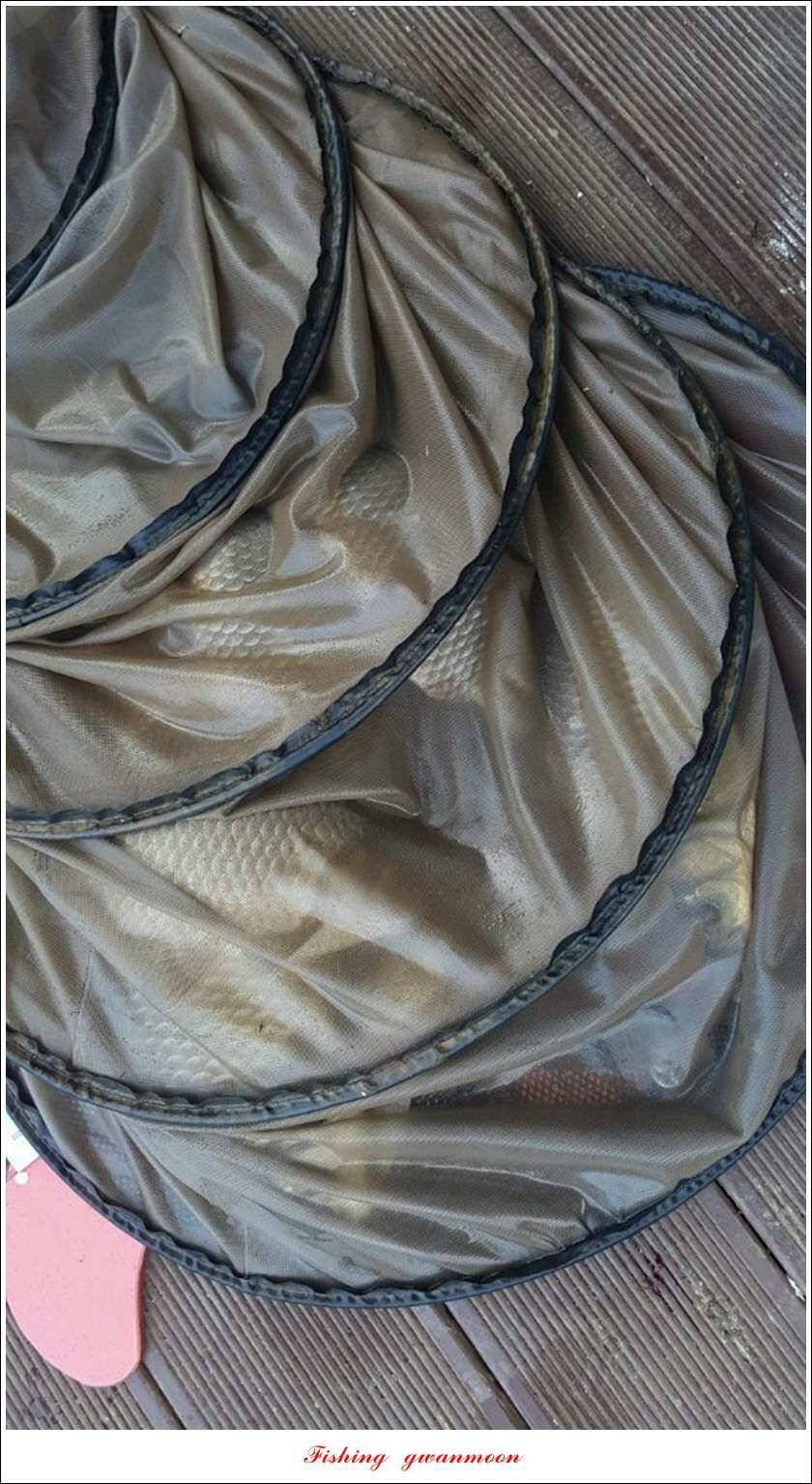 청풍신리실리곡제일 조황 (조황조행기 - 특파원조황)