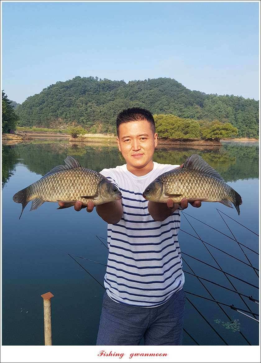 돌감서유석신리실리곡화곡지 조황 (조황조행기 - 특파원조황)
