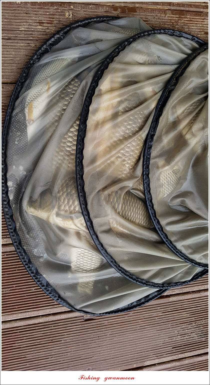 신매 42 cm 혹부리 대물돌감신리실리곡 월척 조황 (조황조행기 - 특파원조황)