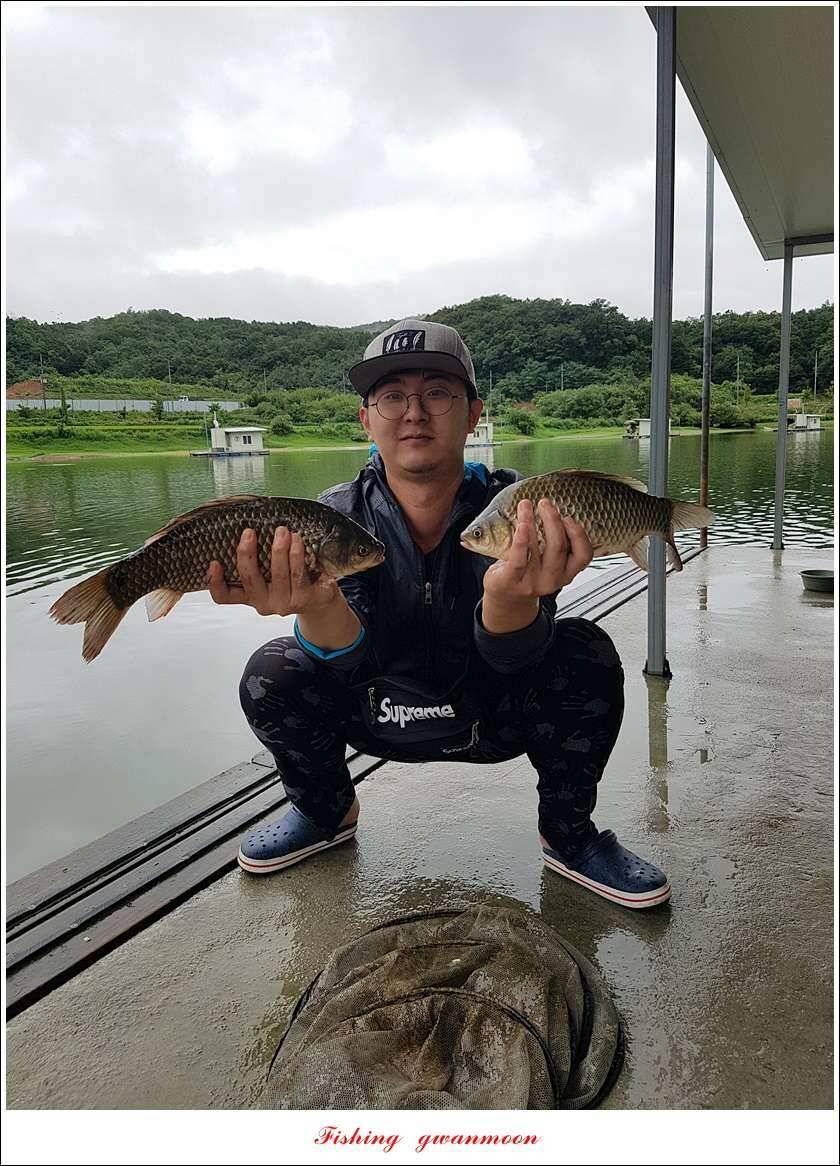 실리곡 435 cm 대물칠성지화곡지 조황 (조황조행기 - 특파원조황)