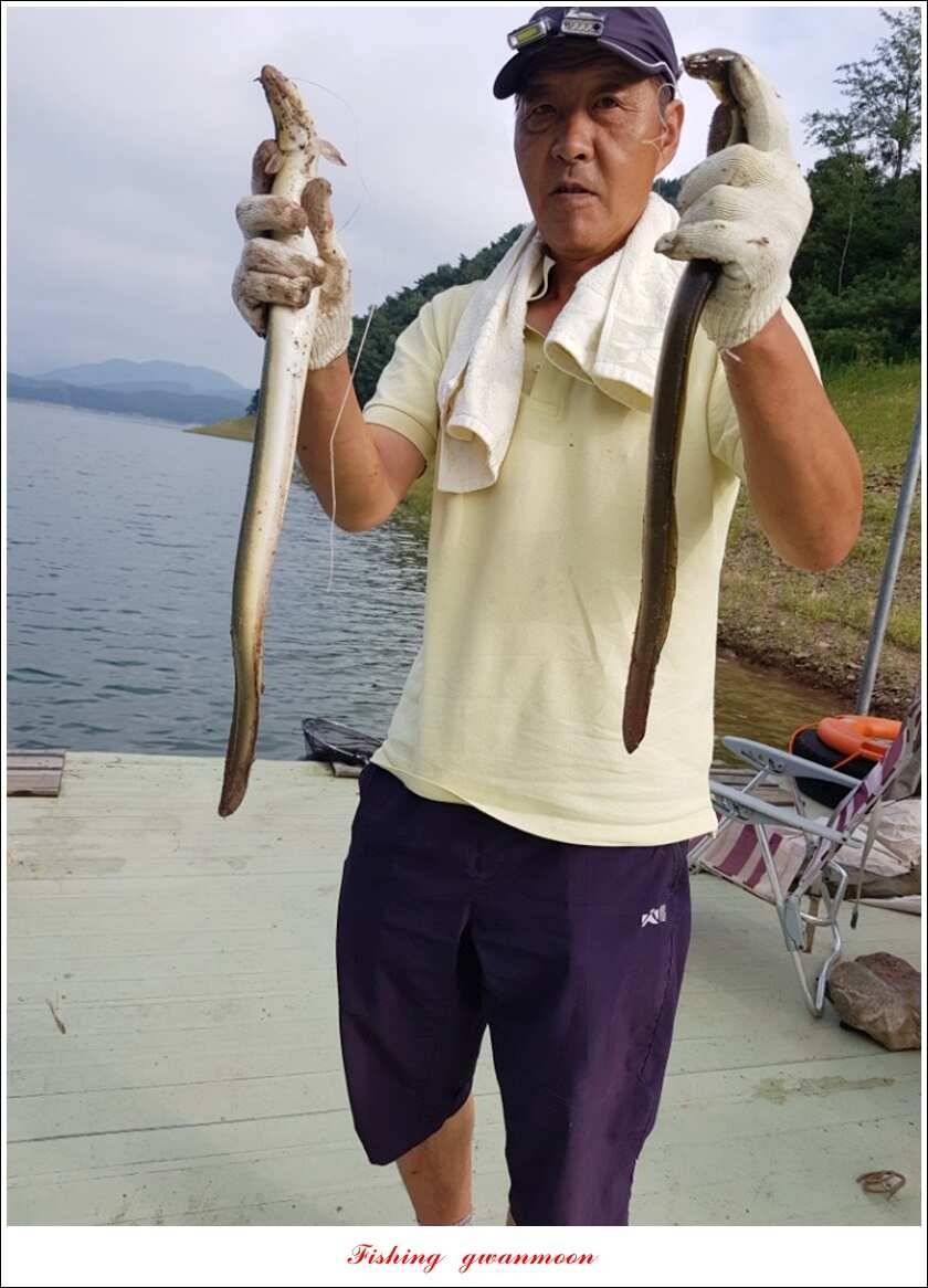 신매 405 cm서유석 장어돌감실리곡신리 월척 조황 (조황조행기 - 특파원조황)