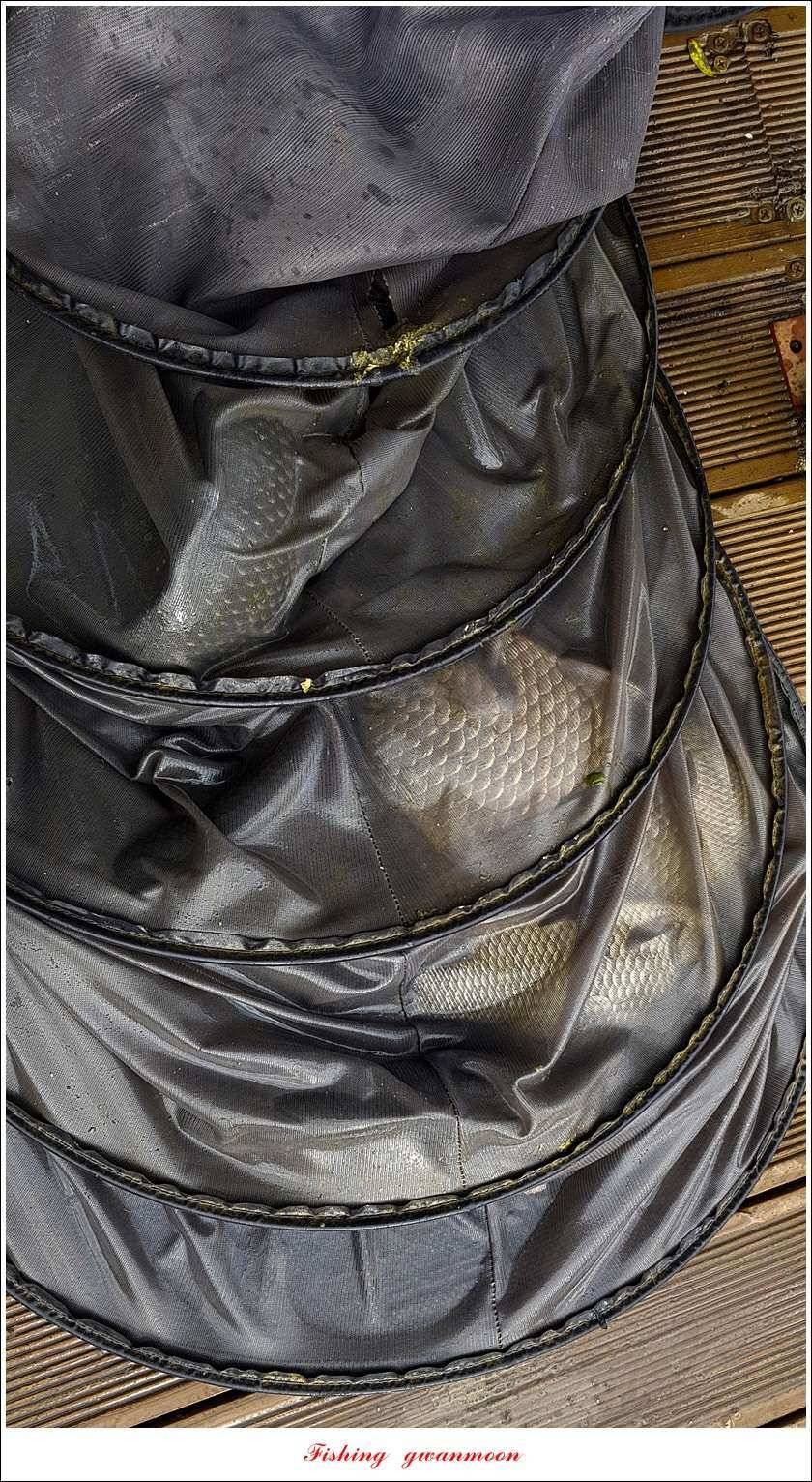 실리곡 낚시터 38 cm 및 월척 조황 (조황조행기 - 특파원조황)