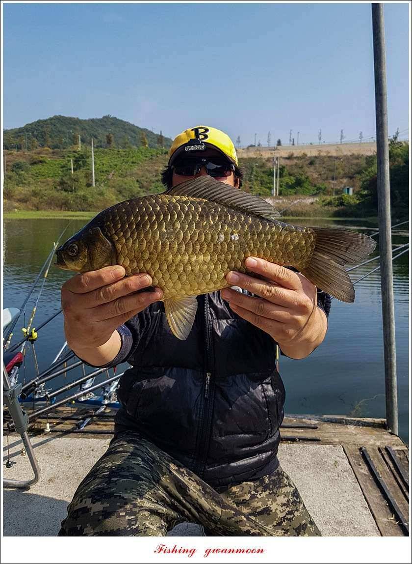 청풍 신리 사짜실리곡제일화곡지 사짜 조황 (조황조행기 - 특파원조황)