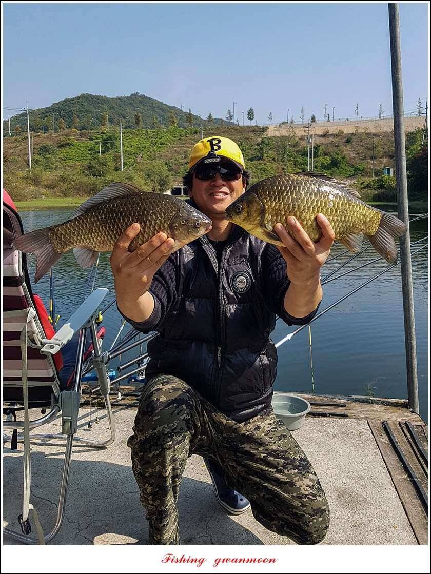 청풍 신리 사짜실리곡제일화곡지 사짜 조황 (조황조행기 - 특파원조황)