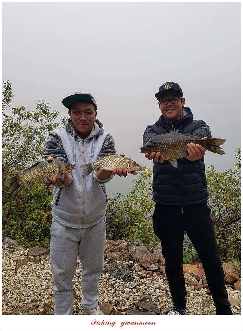 화곡지 사짜 및 조황 소식 (조황조행기 - 특파원조황)