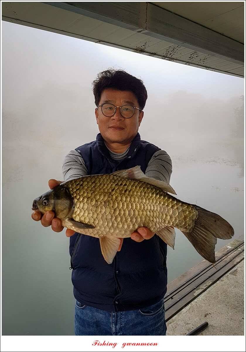 화곡지 사짜 및 조황 소식 (조황조행기 - 특파원조황)