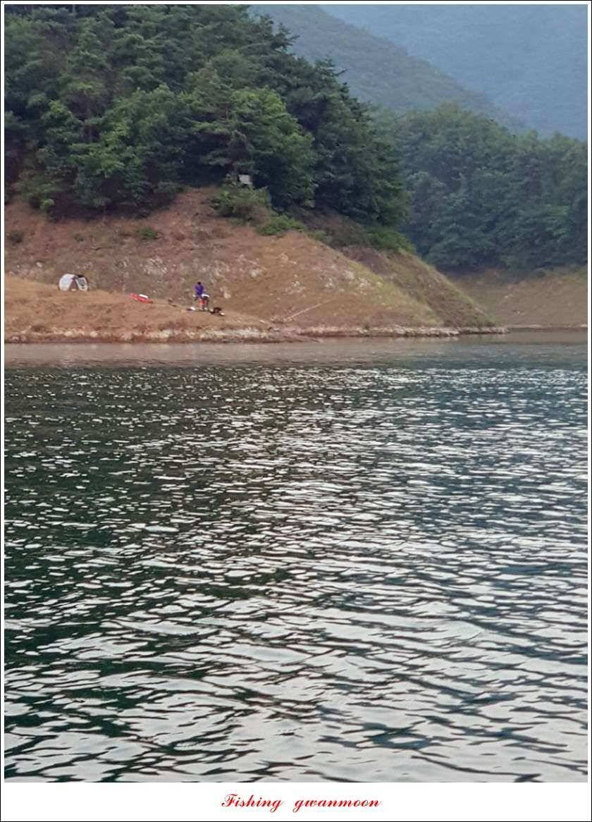 칠성지화곡지서유석 장어실리곡신리 월척 및 마릿수 조황 (조황조행기 - 특파원조황)
