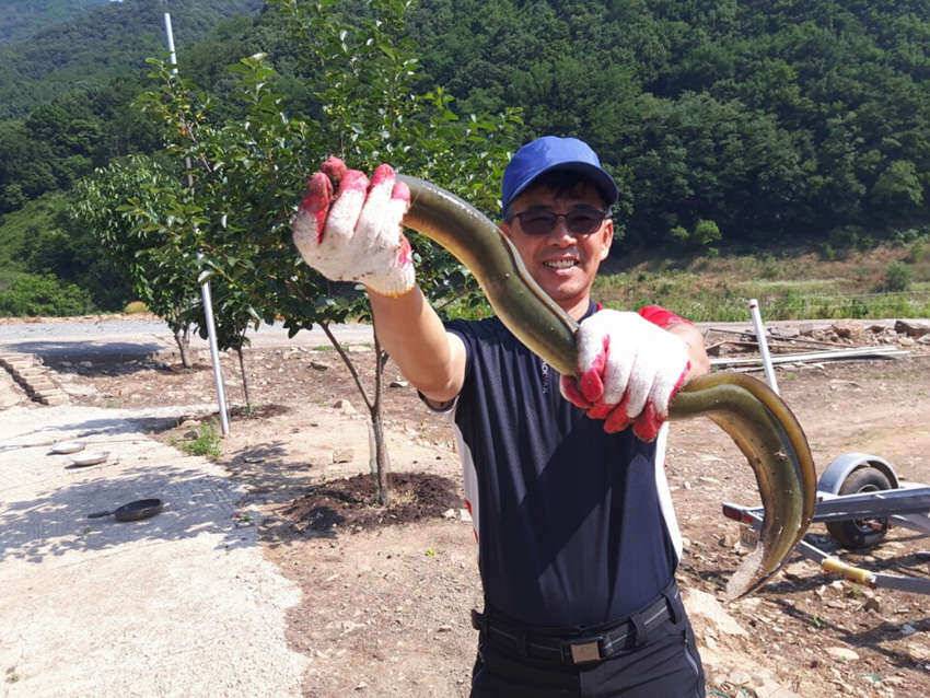 목벌 40 38cm 대물붕어 800g급 장어조황입니다 (조황조행기 - 특파원조황)