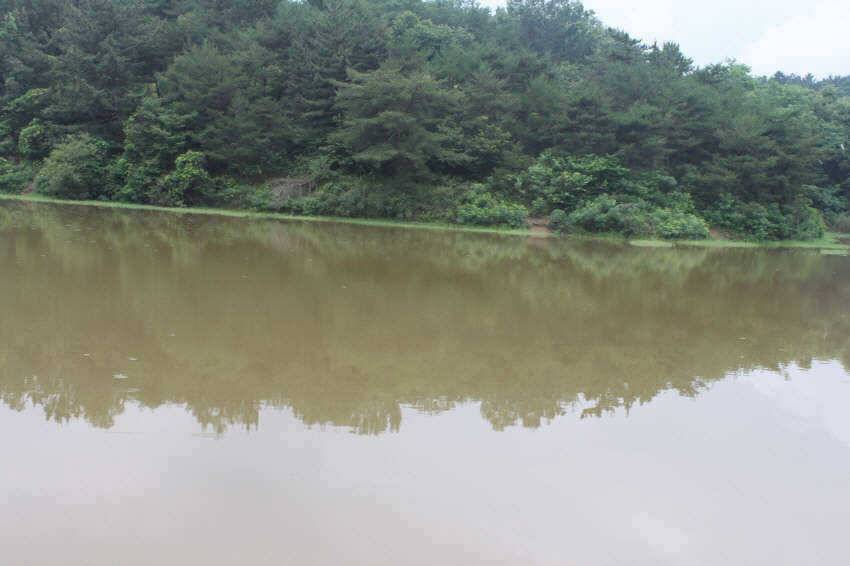 장마에 힘든 낚시 입니다 (조황조행기 - 특파원조황)