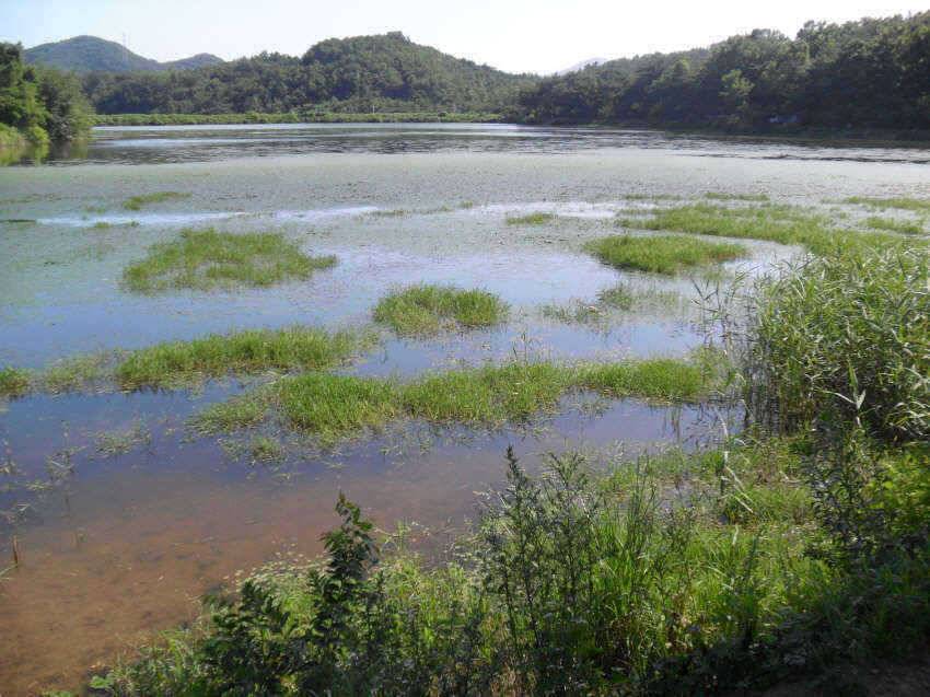 찜통더위 잘계시죠 (조황조행기 - 특파원조황)