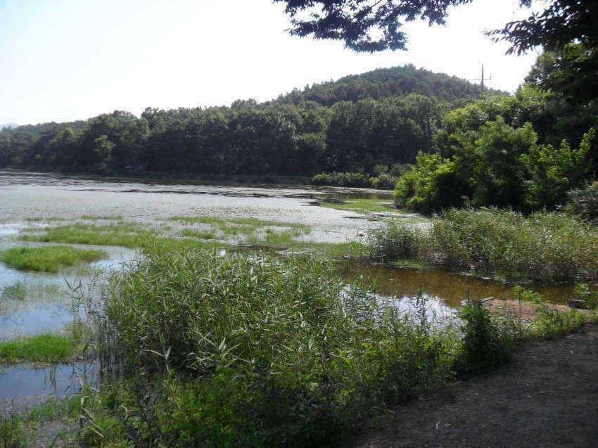 찜통더위 잘계시죠 (조황조행기 - 특파원조황)
