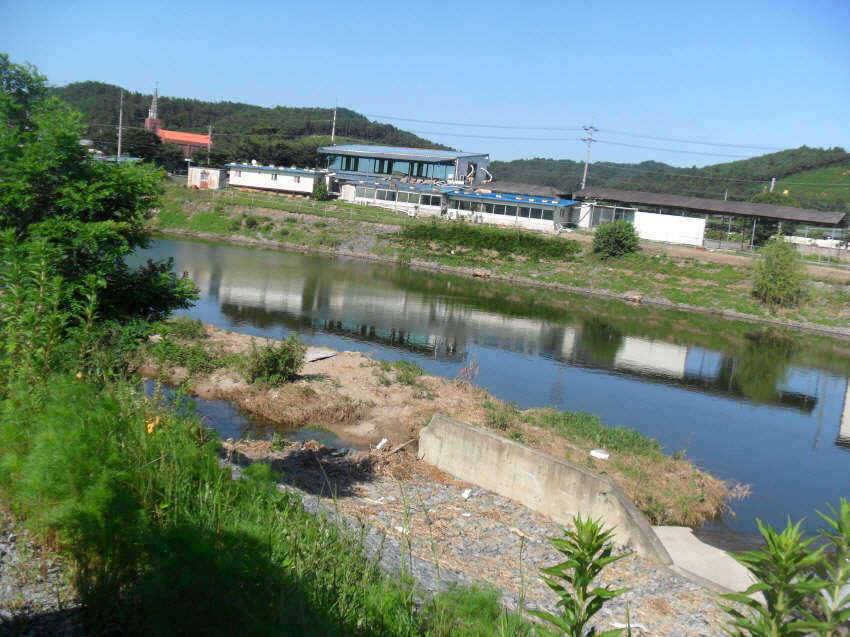 찜통더위 잘계시죠 (조황조행기 - 특파원조황)