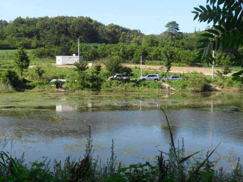 찜통더위 잘계시죠 (조황조행기 - 특파원조황)