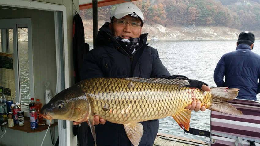 하천리 38cm 외 준 월척붕어 꾸준한 조황 (조황조행기 - 특파원조황)
