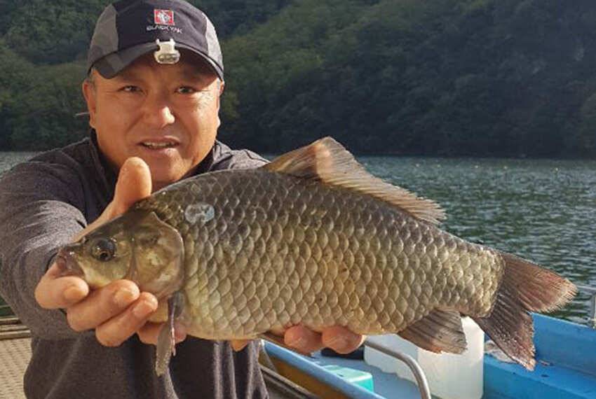 명서낚시터 395cm 대물급붕어 장어 소식입니다 (조황조행기 - 특파원조황)