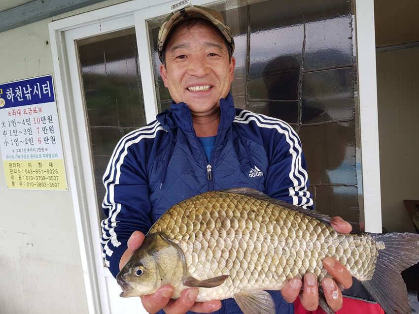 하천 43cm 외 준 월척 꽃바위 조황소식 (조황조행기 - 특파원조황)