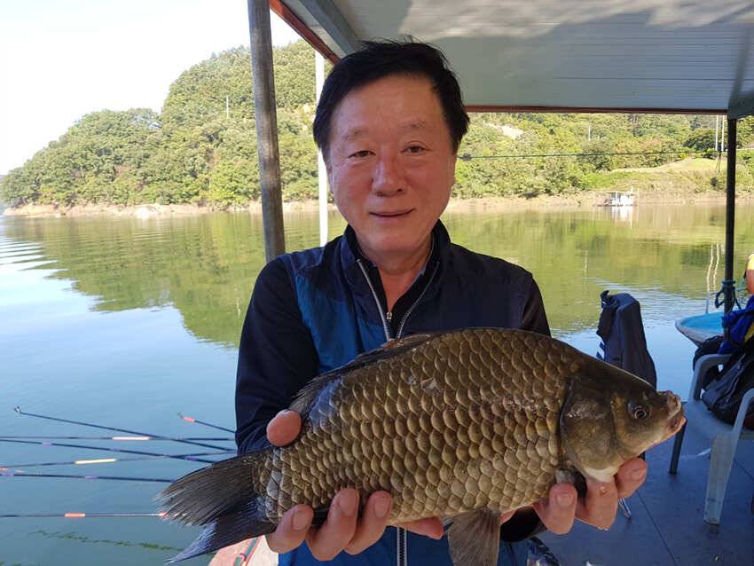 하천 39cm 준 월척 서운리 솔 준 월척조황 (조황조행기 - 특파원조황)
