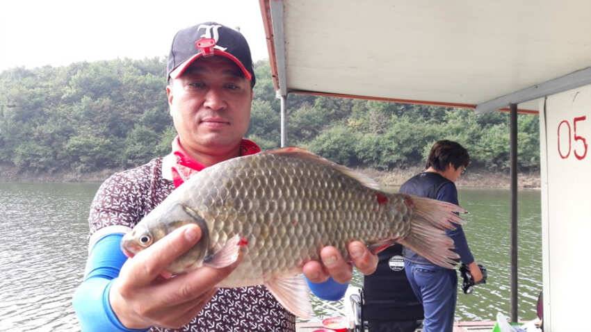 하천낚시터 허리급에 마릿수 (조황조행기 - 특파원조황)