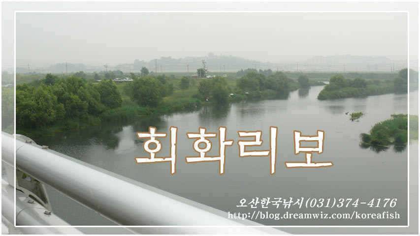 회화리보의 월척소식과 월드컵 16강소식 (조황조행기 - 특파원조황)